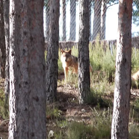 Casa La Devesa De Sanabria Ferienhaus Remesal