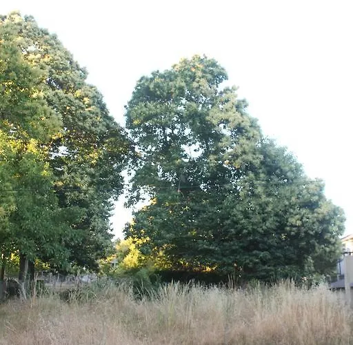 Nyaraló Casa La Devesa De Sanabria