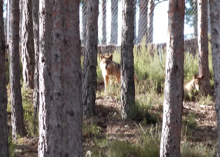 Casa La Devesa De Sanabria Nyaraló Remesal